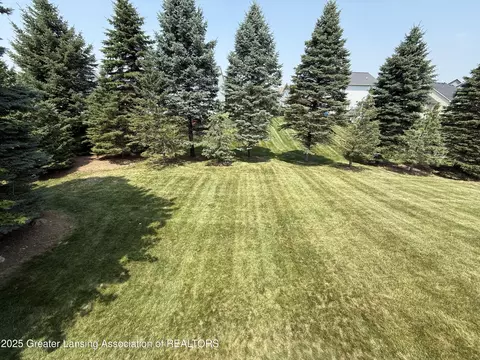12869 Warm Creek Dr, Dewitt, MI 48820 photo 56