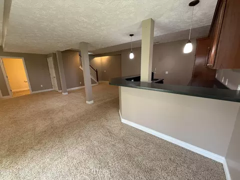12869 Warm Creek Dr, Dewitt, MI 48820 photo 46