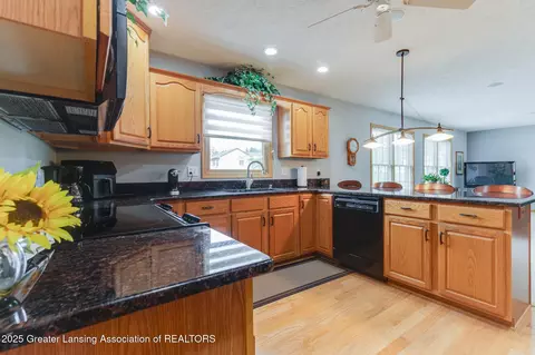 4635 Fieldview Dr, Grand Ledge, MI 48837 photo 10