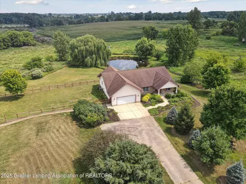 View/Area - 8283 S Williams Rd, Dewitt, MI 48820 photo 3 of 12