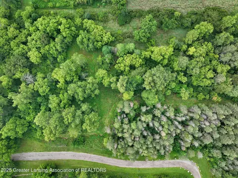 lot B Lauren Way, Perry, MI 48872 photo 11