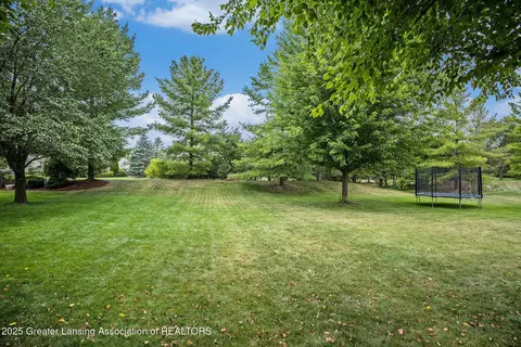 13202 Blaisdell Dr, Dewitt, MI 48820 photo 29