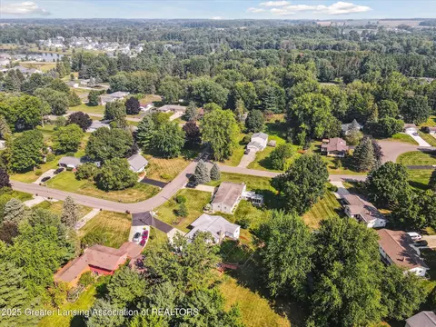 3885 Sage Ln, Dewitt, MI 48820 photo 49