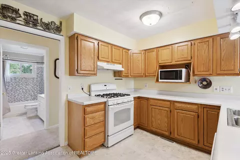 3885 Sage Ln, Dewitt, MI 48820 photo 12