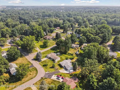 3885 Sage Ln, Dewitt, MI 48820 photo 47