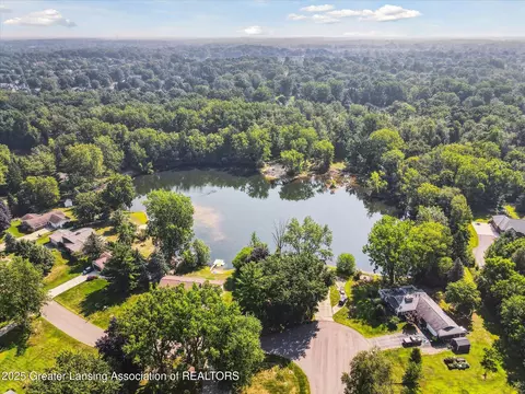 3885 Sage Ln, Dewitt, MI 48820 photo 43