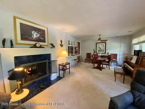 9916 Riverside Dr, Eagle, MI 48822 photo 16