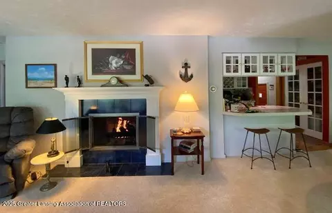 9916 Riverside Dr, Eagle, MI 48822 photo 10