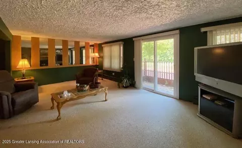 9916 Riverside Dr, Eagle, MI 48822 photo 27