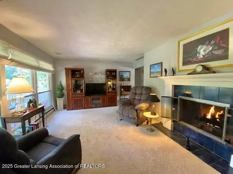 9916 Riverside Dr, Eagle, MI 48822 photo 9