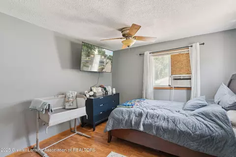 225 Washington St, Maple Rapids, MI 48853 photo 8