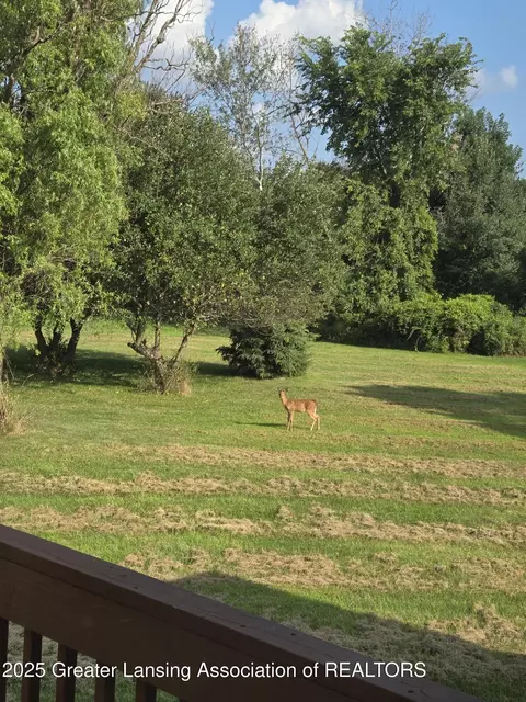 Other - 18775 Bull Run Rd, Gregory, MI 48137 photo 8 of 18