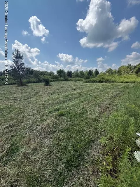 0 Hall Rd, Bellevue, MI 49021