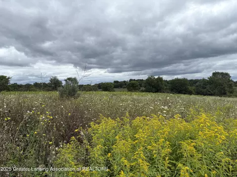 Vl Montels Parcel D Way, Charlotte, MI 48813