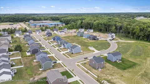 View/Area - 13835 Kaleidoscope Dr, Dewitt, MI 48820 photo 7 of 11
