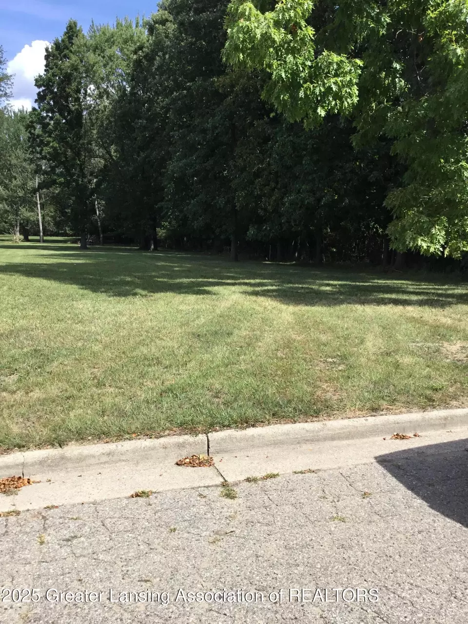  0 Moffitt St, Lansing, MI 48911 photo 1