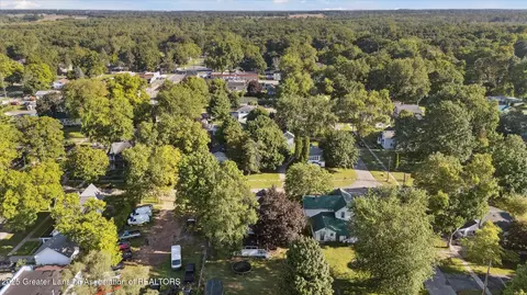 126 E Washington St, Maple Rapids, MI 48853 photo 52