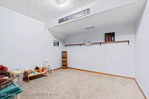 3500 Brandy Ln, Olivet, MI 49076 photo 43