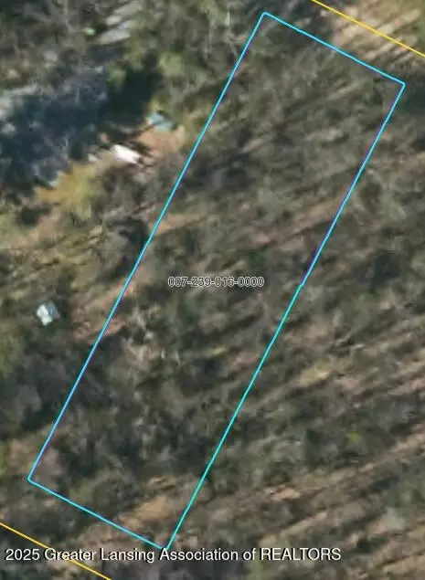 V/l Clare Road, Roscommon, MI 48653
