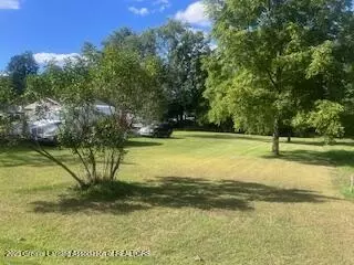 323 E Main St, Elsie, MI 48831 photo 3