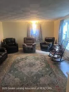 323 E Main St, Elsie, MI 48831 photo 21