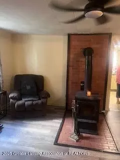 323 E Main St, Elsie, MI 48831 photo 19