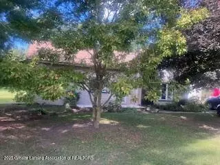 323 E Main St, Elsie, MI 48831 photo 4
