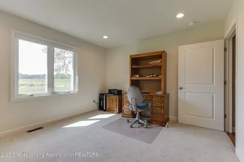 Other - 11740 Kalamata Dr, Dewitt, MI 48820 photo 8 of 20