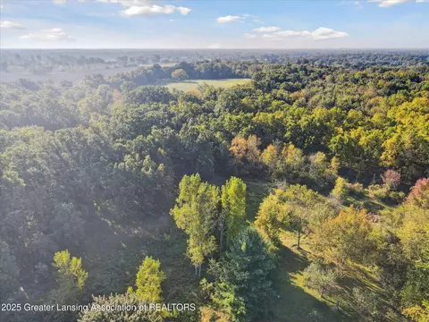 View/Area - 5324 E Pratt Rd, Saint Johns, MI 48879 photo 2 of 11