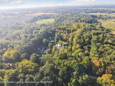 View/Area - 5324 E Pratt Rd, Saint Johns, MI 48879 photo 4 of 11