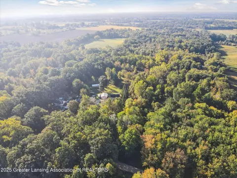 View/Area - 5324 E Pratt Rd, Saint Johns, MI 48879 photo 3 of 11