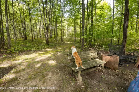 Other - 5324 E Pratt Rd, Saint Johns, MI 48879 photo 27 of 33