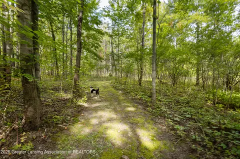 Other - 5324 E Pratt Rd, Saint Johns, MI 48879 photo 29 of 33