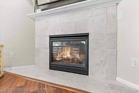 Other - 8614 Jacaranda Dr, Dimondale, MI 48821 photo 4 of 13