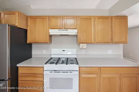 13717 Remington Dr, Bath, MI 48808 photo 13