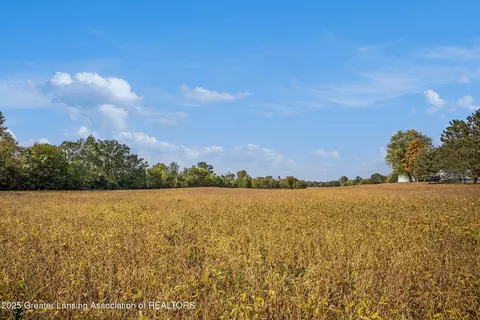 0 Linn Rd, Williamston, MI 48895 photo 9