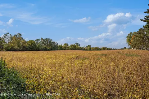0 Linn Rd, Williamston, MI 48895 photo 10