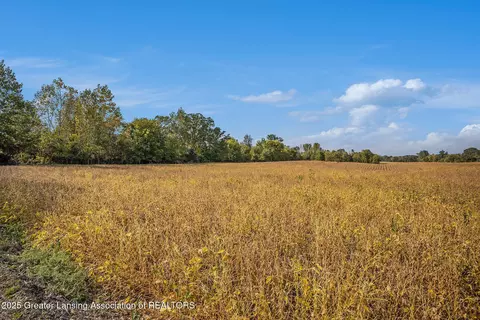 0 Linn Rd, Williamston, MI 48895 photo 8