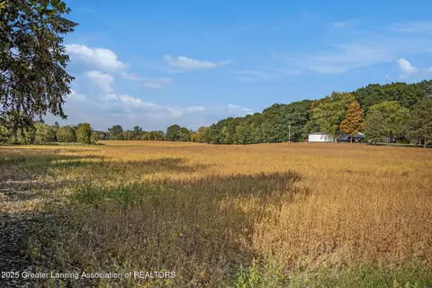 0 Linn Rd, Williamston, MI 48895 photo 6