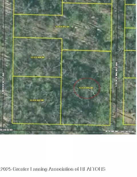 Undisclosed, Baldwin, MI 49304