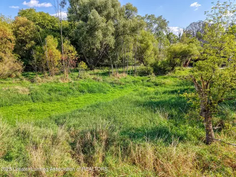 0 Chandler, Bath, MI 48808 photo 13