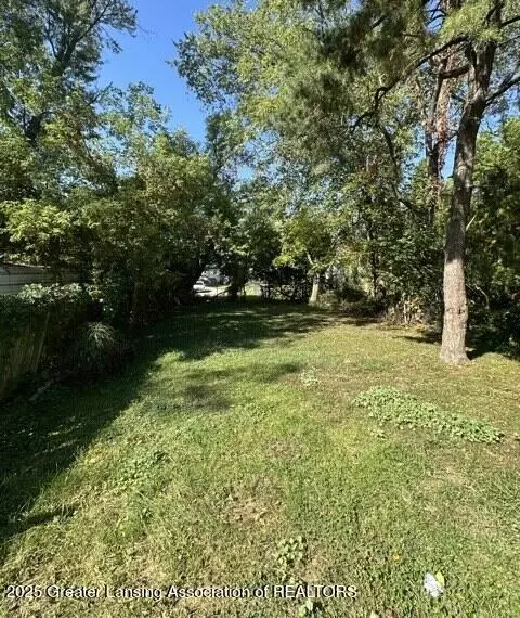 Other - 1011 N Chestnut St, Lansing, MI 48906 photo 5 of 11