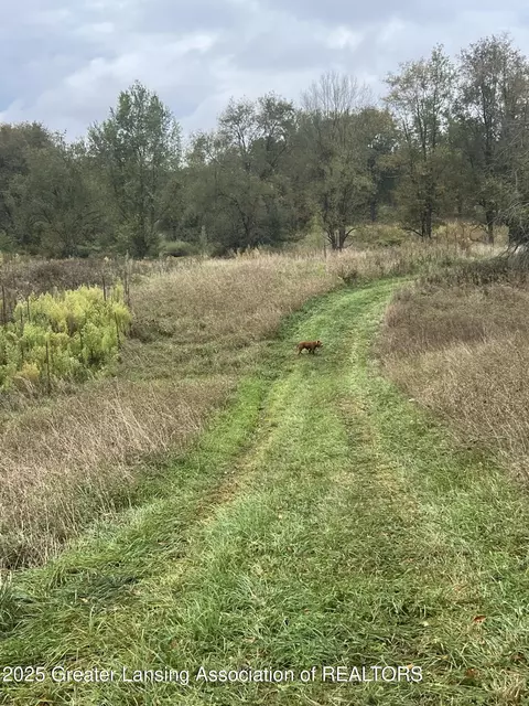 Undisclosed, Bellevue, MI 49021