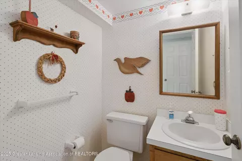 13132 Old Hickory Trl, Dewitt, MI 48820 photo 42