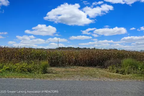 0 N Wellman Rd, Woodland, MI 48897
