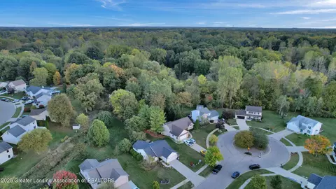 View/Area - 13747 Remington Dr, Bath, MI 48808 photo 1 of 3