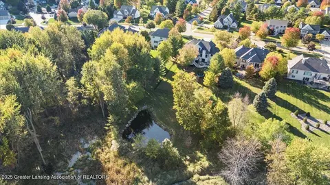 View/Area - 13259 Blaisdell Dr, Dewitt, MI 48820 photo 7 of 8