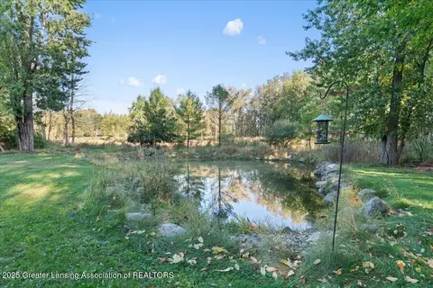 Other - 13259 Blaisdell Dr, Dewitt, MI 48820 photo 5 of 19