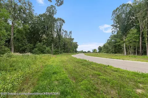 16725 Tormiston Rd, Haslett, MI 48840 photo 9