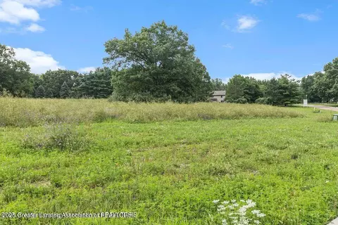 16725 Tormiston Rd, Haslett, MI 48840 photo 8